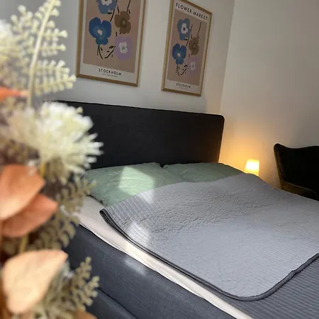 Apartment Moderne Und Barrierefreie Am Lene-voigt-park Innenstadt Stuck Und Style Reudnitz Leipzig